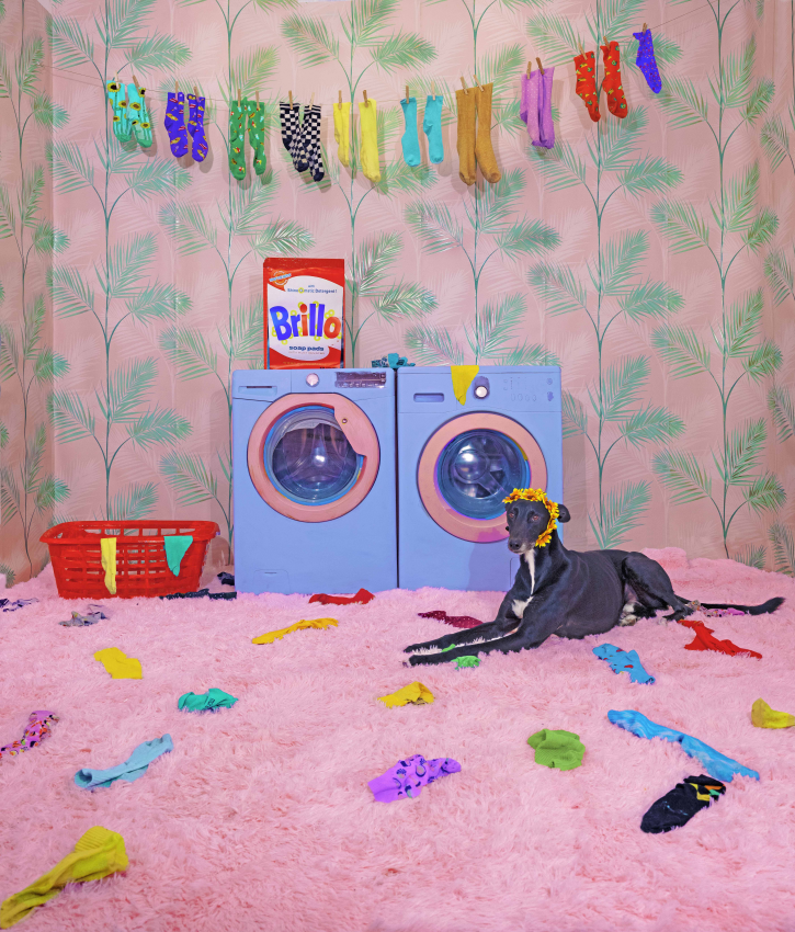 'Bobo’s Socks'. My friend’s rescued lurcher, posing in a laundry room. © Enda Burke, Ireland, Shortlist, Open Competition, Creative, 2023 Sony World Photography Awards