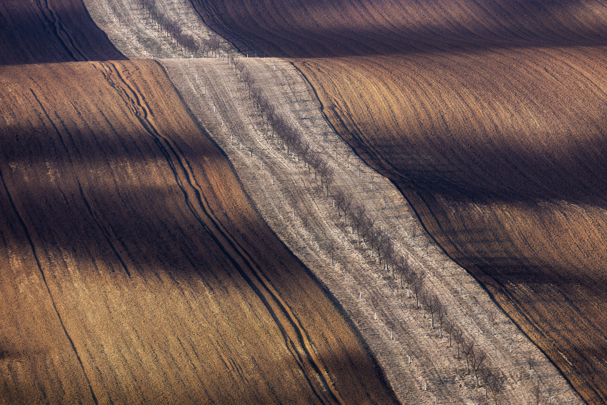 'Textures'. The South Moravian agricultural landscape stretches over low hills and valleys, creating a unique combination of natural curved shapes and manmade geometries. The varying shades of the soil make the winter landscape extremely beautiful, almost unearthly. © Andreja Ravnak, Slovenia, Shortlist, Open Competition, Landscape, 2023 Sony World Photography Awards