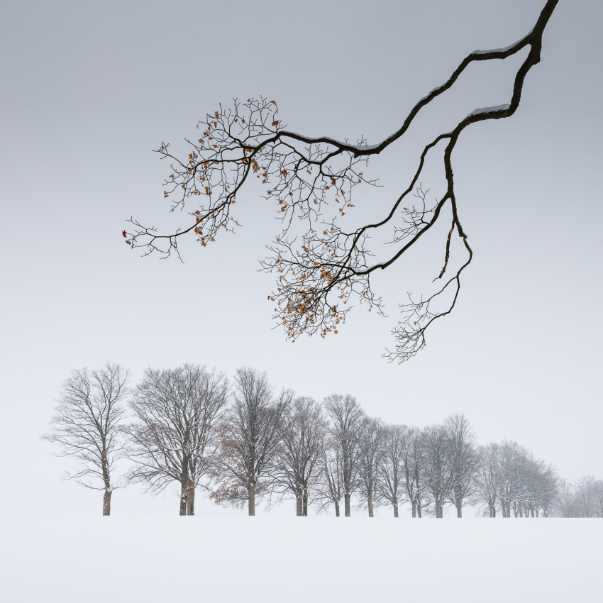 'Art of Winter'. Winter landscape in the Czech Republic. © Martin Rak, Czech Republic, Shortlist, Open Competition, Landscape, 2023 Sony World Photography Awards 