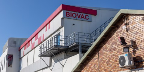 Health Department comes to Cipla’s defence after Biovac claim tender was unfair