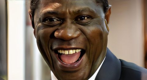 Paul Mashatile’s presidential ambitions lose lustre in harsh glare of news spotlight