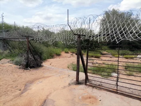 Mending fences — Sihle Zikalala probes gaping safety gaps at Beitbridge border post