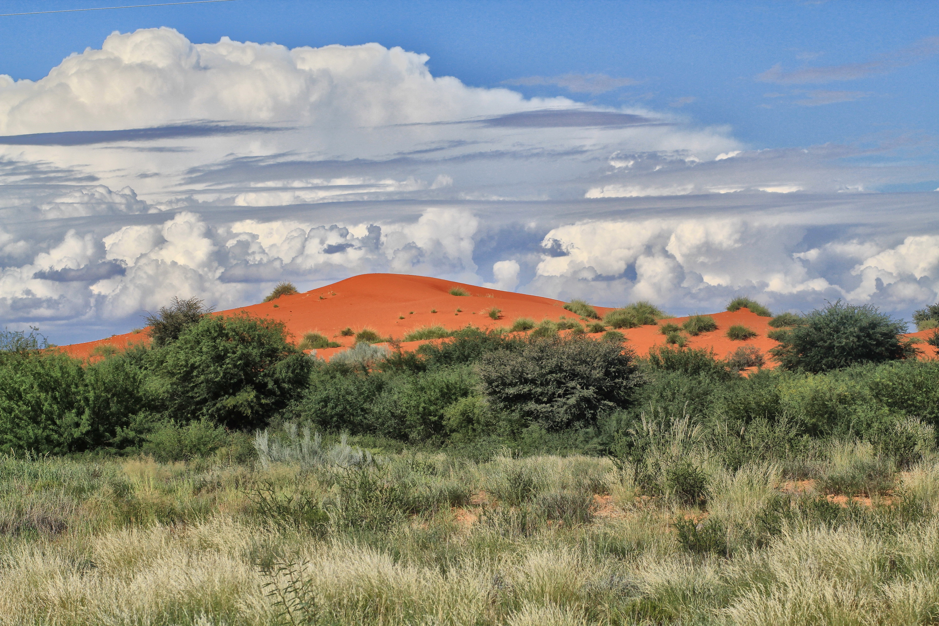 Icons of the Kalahari: the dunes, the grasses and cloudy summer skies. Image: Chris Marais