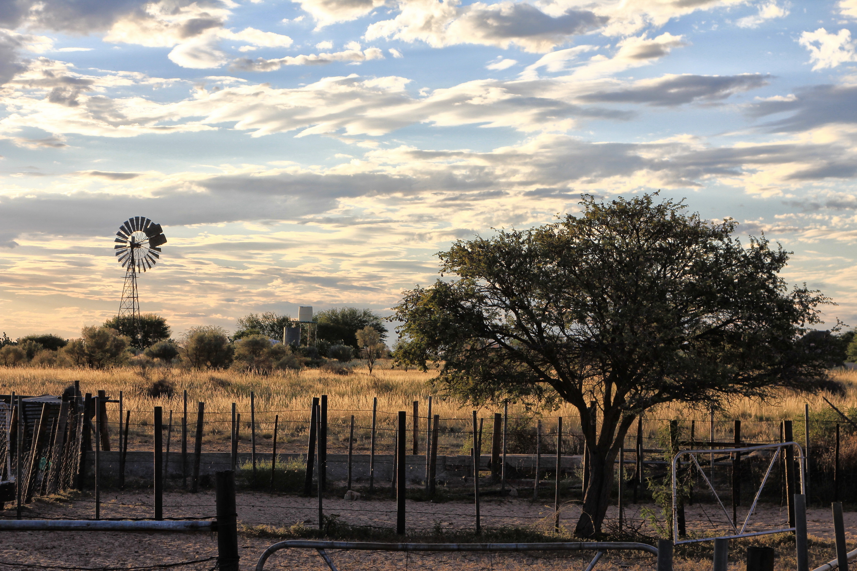 Kalahari sunset – a golden moment. Image: Chris Marais