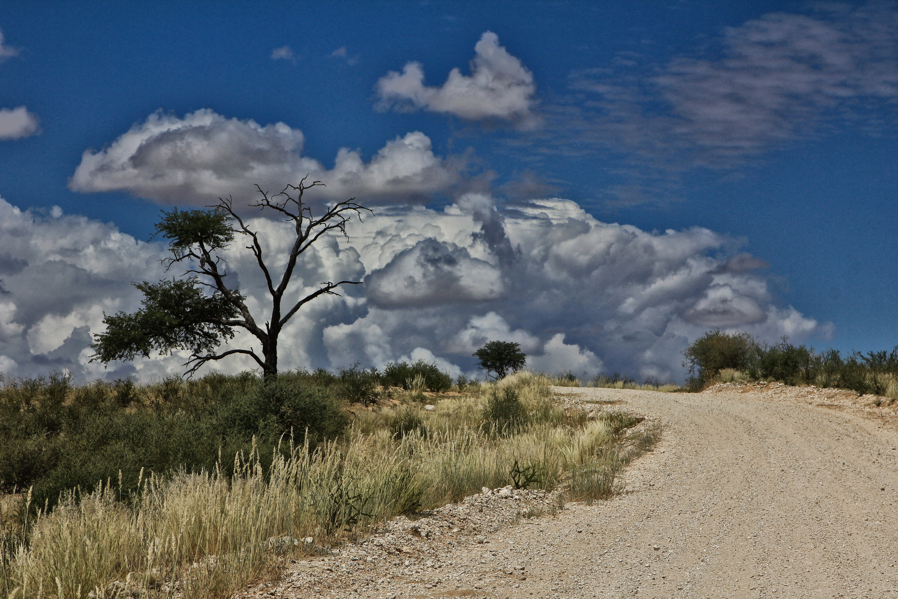 The road goes on forever in the Kalahari hinterland. Image: Chris Marais