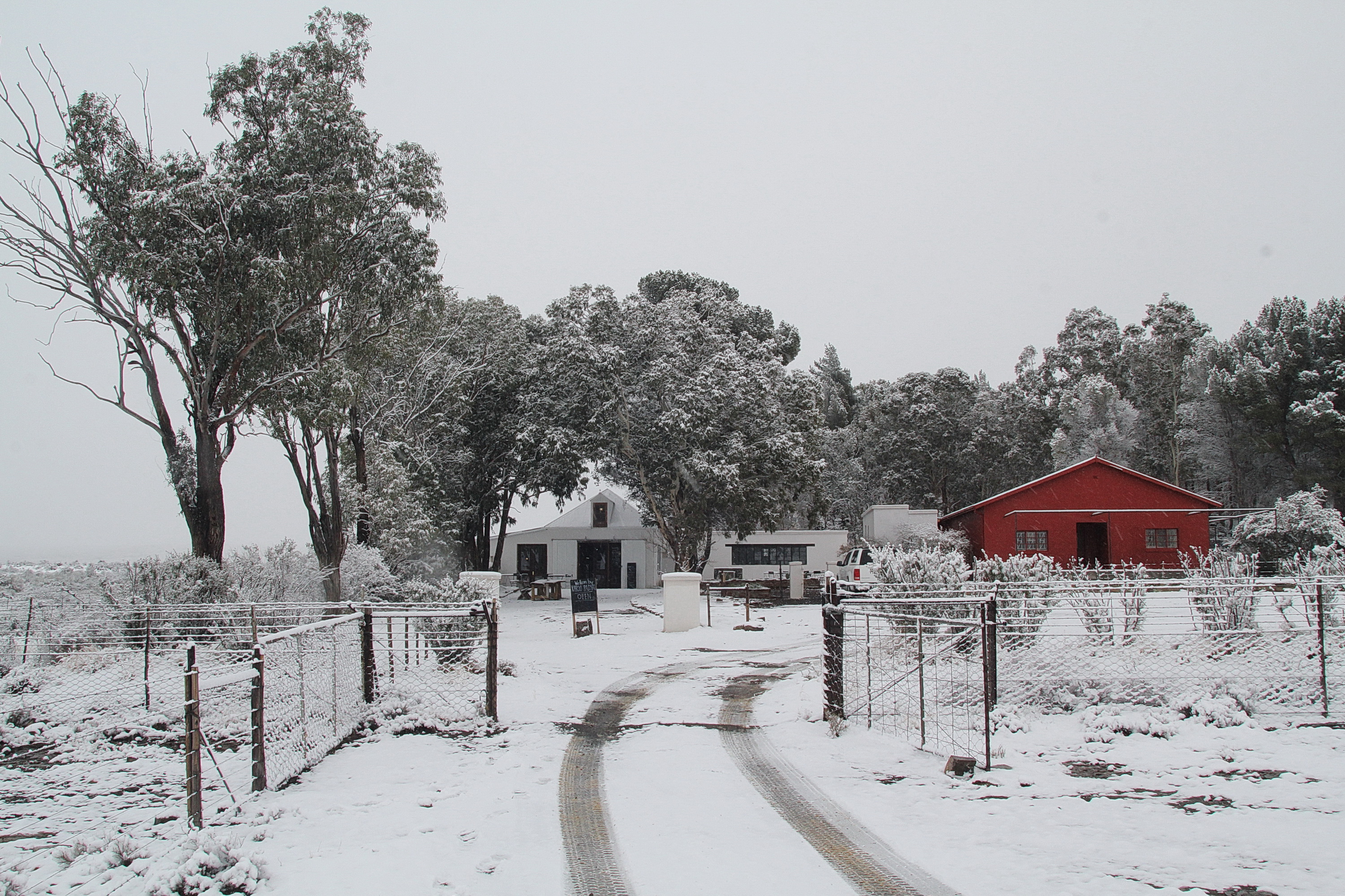 The Karoo Padstal has just opened for business and welcomes hungry snow travellers. Image: Chris Marais