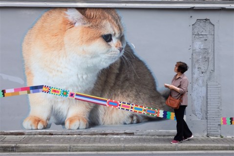 Shanghai’s cat murals, and more from around the world