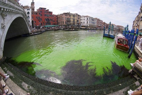 Phosphorescent green liquid seen on the Grand Canal, in Venice, and more from around the world
