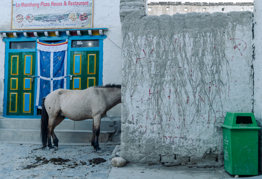 'Pizza Delivery Available'. Set in the heart of Mustang, Nepal, this is a pizza parlour with a difference. © Benson Spiers, United Kingdom, Shortlist, Open Competition, Street Photography, 2023 Sony World Photography Awards