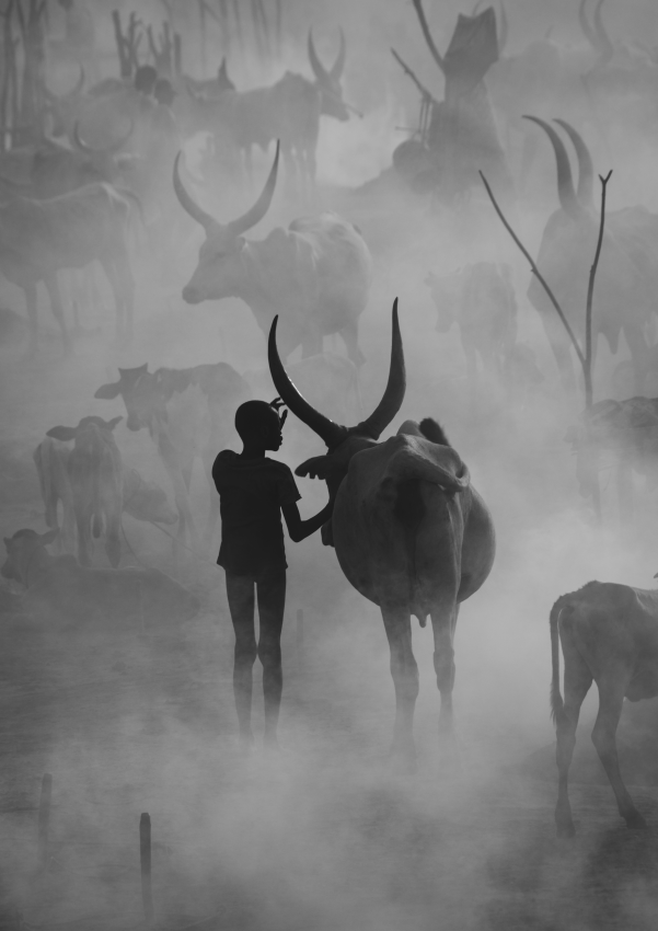 'Ghosts'. The Mundari tribe of South Sudan appear like apparitions among the nightly fires they light to keep the tsetse flies and mosquitoes off their beloved Ankole-Watusi cows. Each night, as the cattle return from grazing, the herders tend to them by massaging ash into their skin to prevent bites. © Max Vere-Hodge, United Kingdom, Winner, Open Competition, Travel, 2023 Sony World Photography Awards