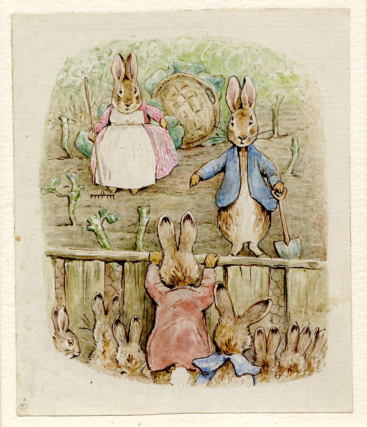 An illustration by Beatrix Potter from 'The Tale of the Flopsy Bunnies'. Image: The Trustees of the British Museum