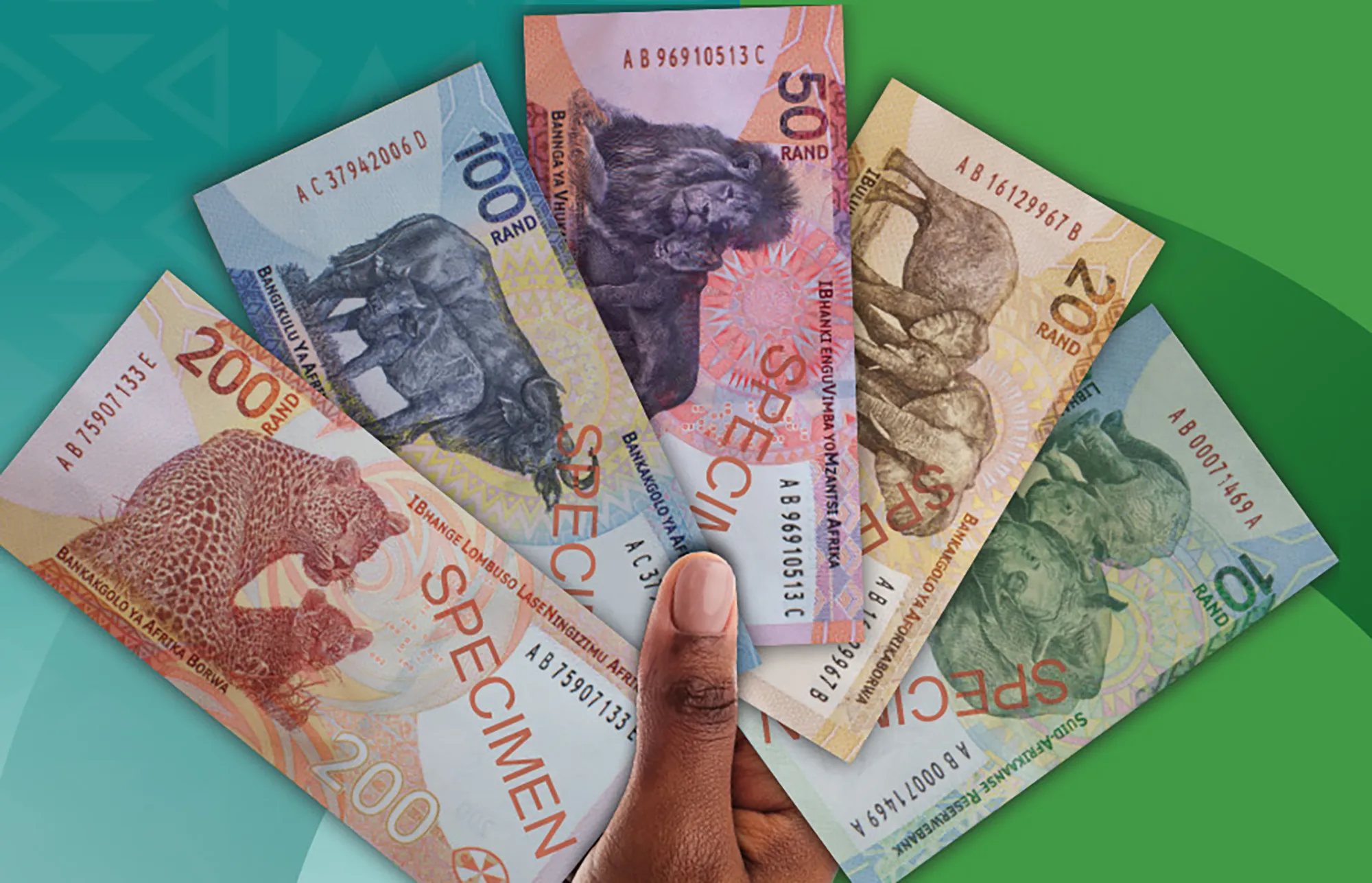 South Africa’s upgraded banknotes and coins showcase Big Five 'family bonds' and 'deep ecology'