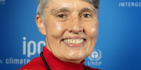 South African scientist Debra Roberts nominated to head world expert body on climate crisis