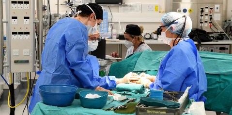 Groote Schuur Hospital clears backlog of 1,500 surgeries – here’s how they did it