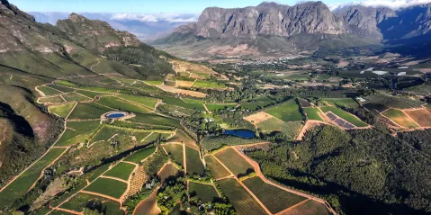 Wine tourism can restore some sparkle to SA’s damaged image, conference told