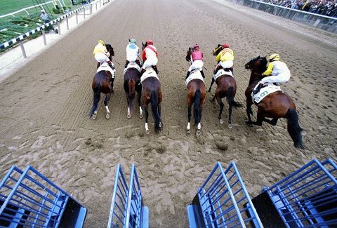 Horse racing: The Summer of the GOAT