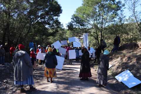 Eastern Cape parents block school entrance in Cofimvaba after scholar transport cancelled