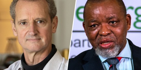 Court castigates Gwede Mantashe on axing of anti-nuclear activist, denies leave to appeal