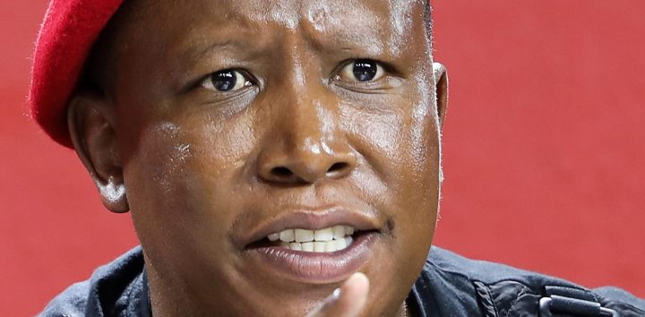 Would you pay R1.2m to sit with EFF leader Julius Malema?