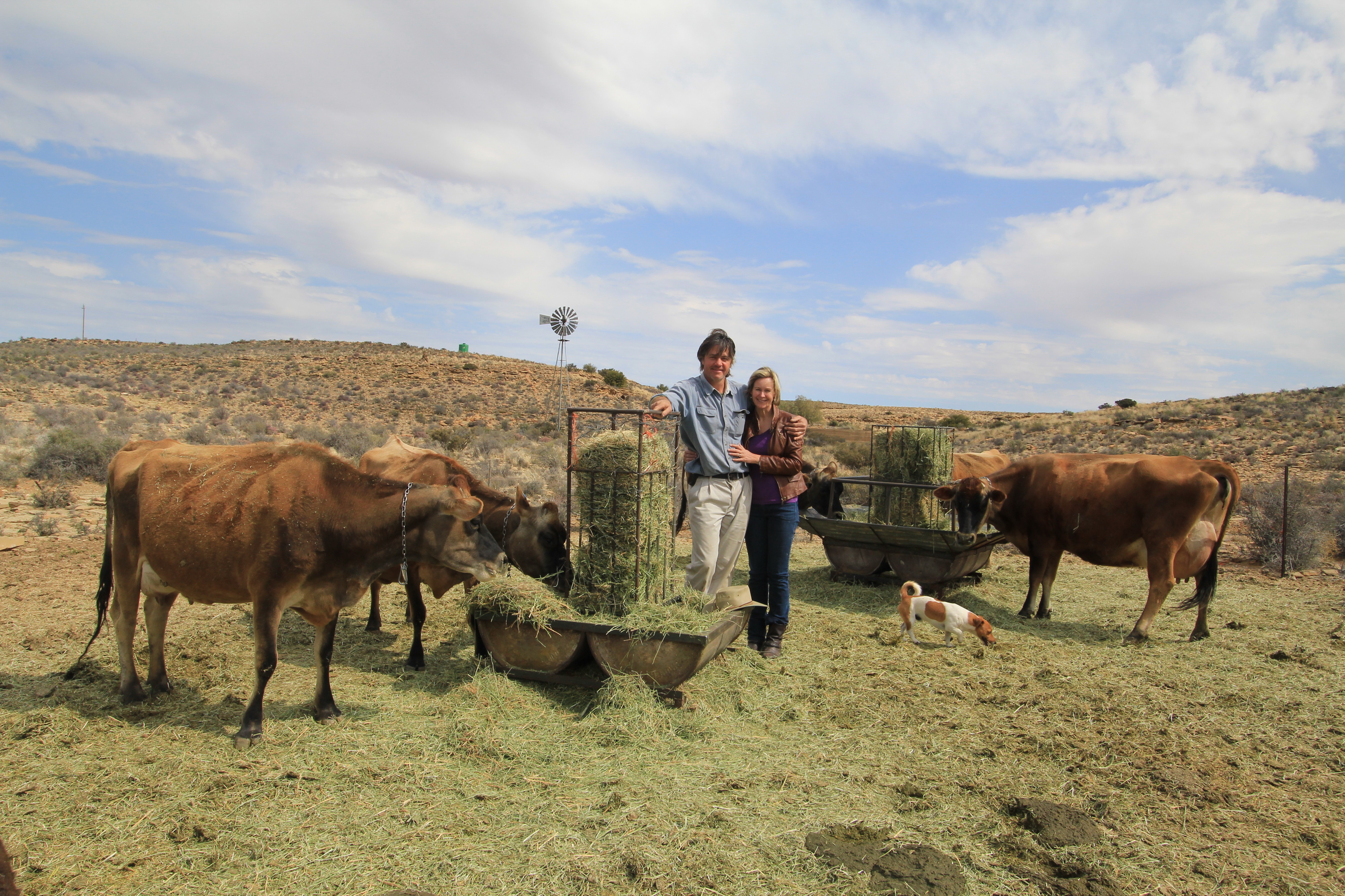 Peter and Francy Schoeman and their Jersey cows, who produce some of South Africa’s finest cheese. Image: Chris Marais