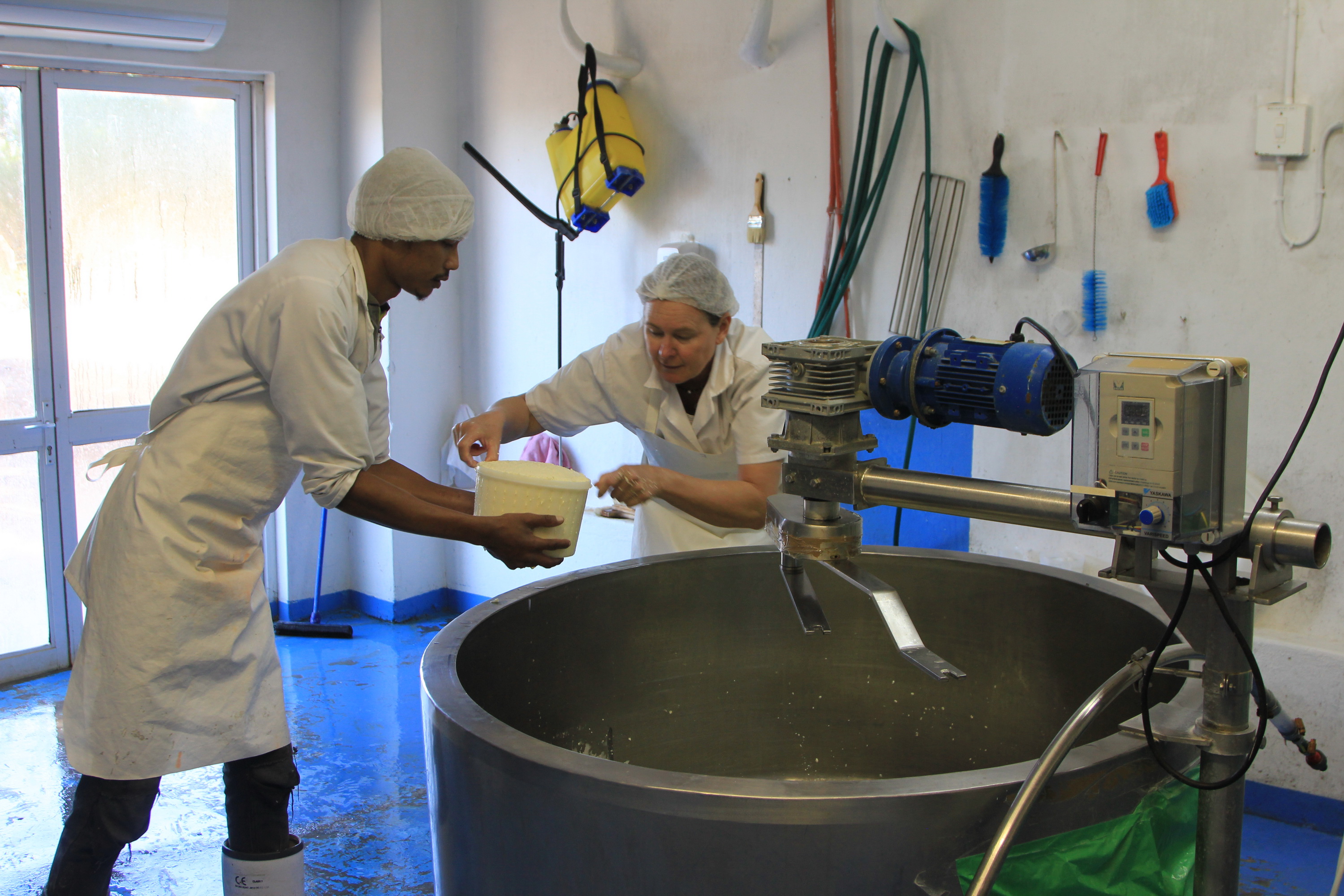 Francy and assistant John Feris packing moulds full of the cheese curds that will mature into Karoo Crumble. Image: Chris Marais