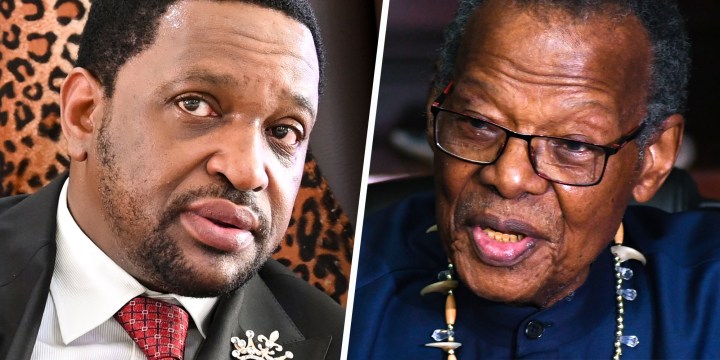 Zulu King Misuzulu denies tensions with Buthelezi, but signs of strain are emerging