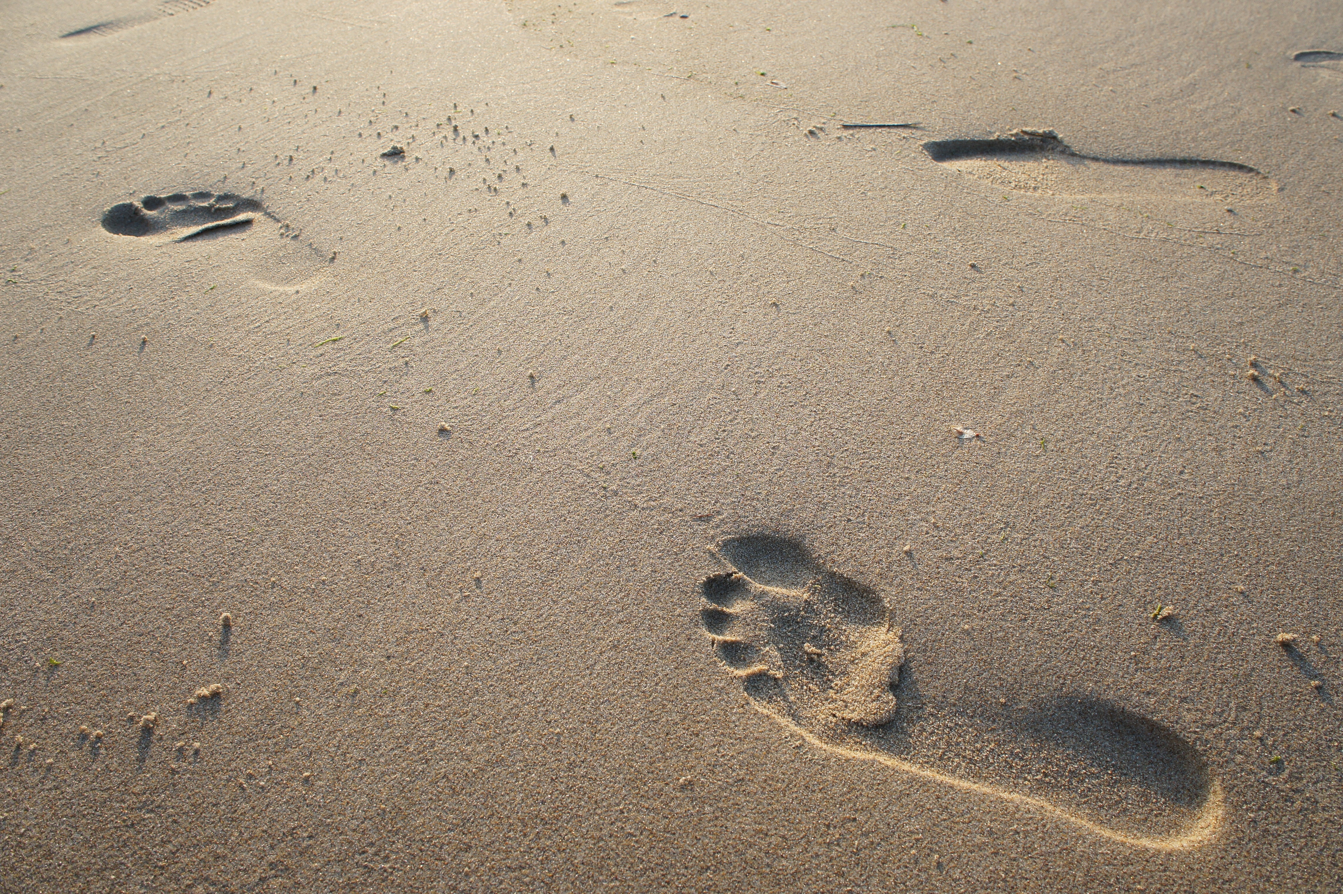 Researchers extracted identifiable genetic information from footprints in the sand. Image: Dim Hou / Unsplash