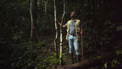 Environmental health warrior Akin Abayomi and his battle to save Nigeria’s Emerald Forest