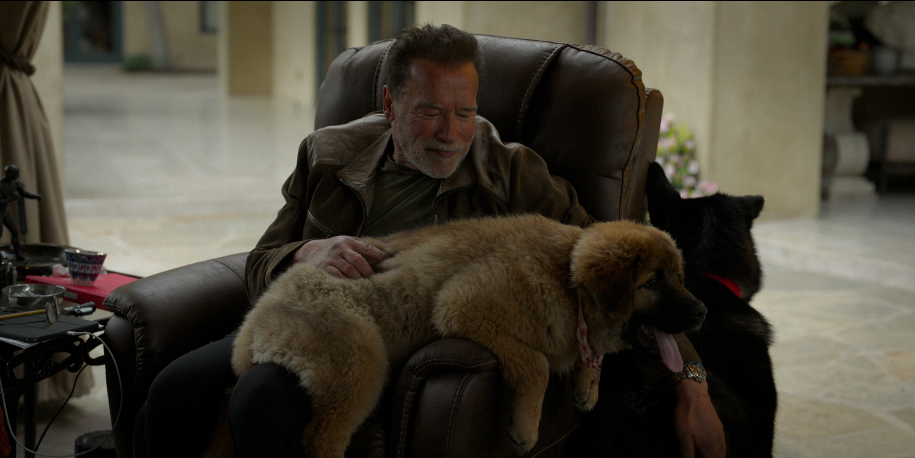 Arnold Schwarzenegger in his his home in Los Angeles with his dog. Image: Netflix / Supplied