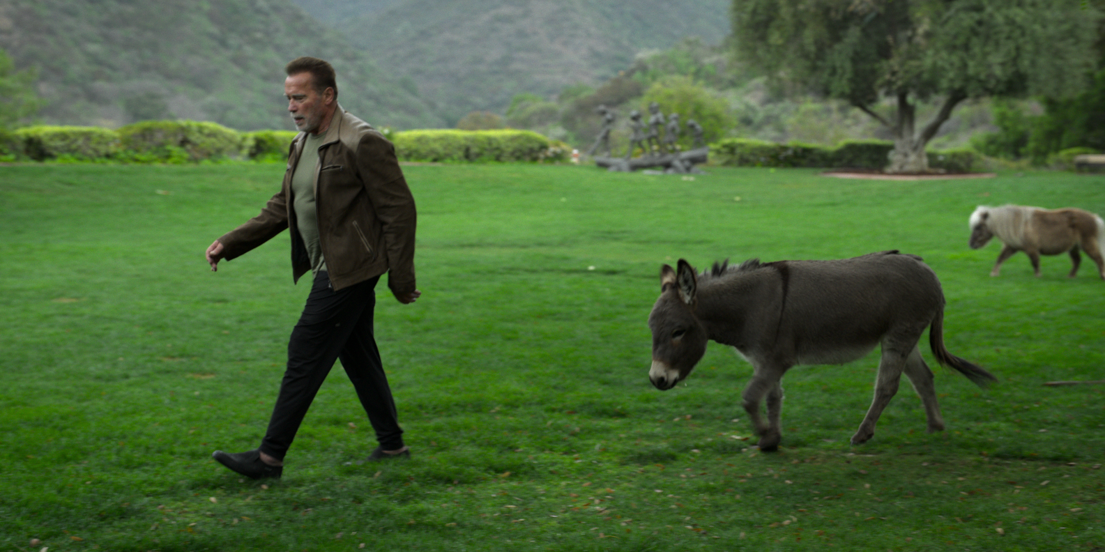 Arnold Schwarzenegger tends to his miniature horse named Whiskey and donkey named Lulu in the backyard of his Pacific Palisades house in Los Angeles.Image: Netflix / Supplied