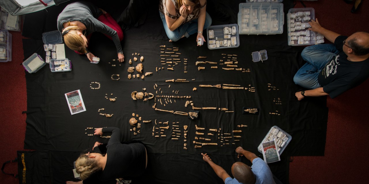 SECRETS OF THE DEAD : Burials, use of symbols by extinct species discovered in Cradle of Humankind