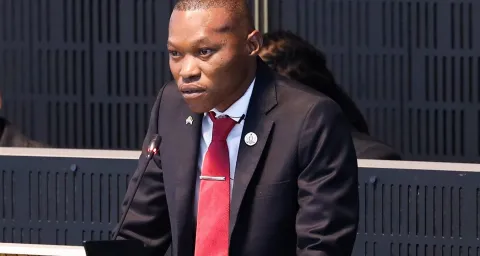 Joburg mayor blames DA-led coalition for city’s financial woes