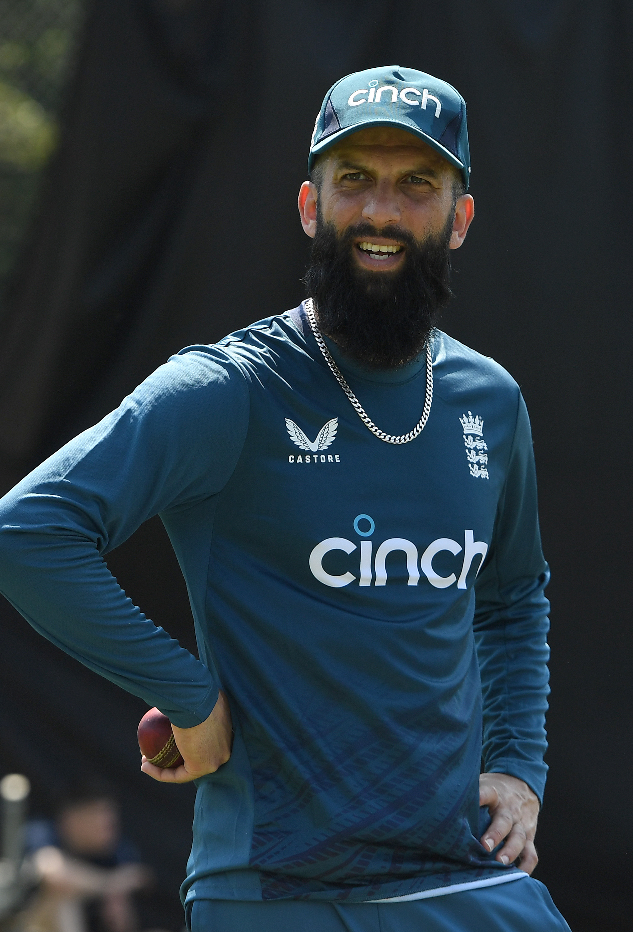 Moeen Ali, The Ashes