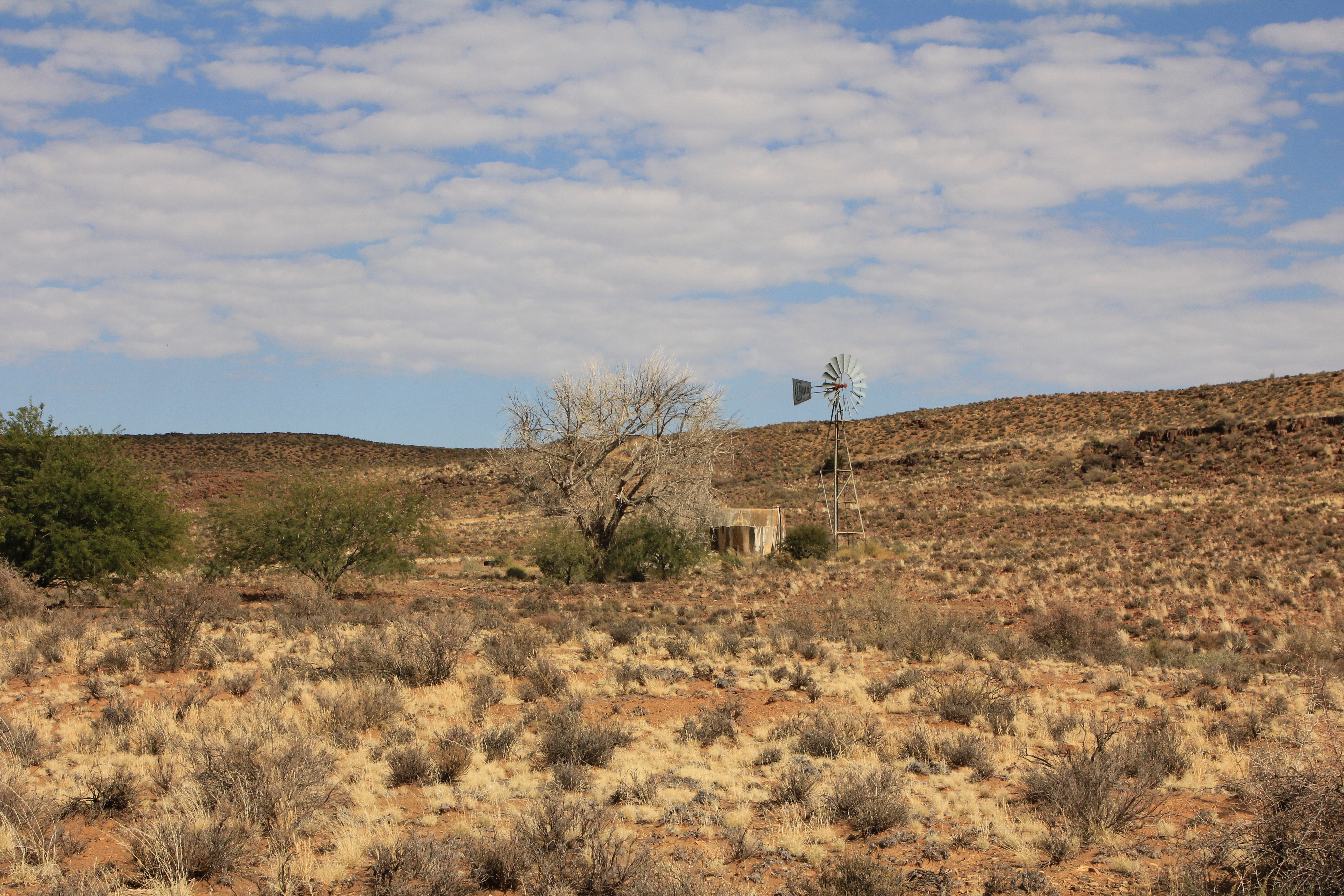 In the thrifty drylands, if it works, it stays. The Karoo remains a stronghold of wind pumps. Image: Chris Marais
