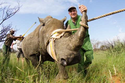 An Interview: The complicated business of flying rhinos