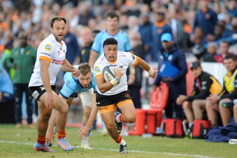 Clash of the cats as Pumas and Cheetahs prepare for final showdown