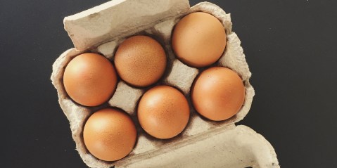 Claims eggs-aggerated: Why the avian flu egg warning is fake news