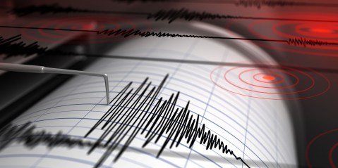 Gauteng residents jolted by strongest quake in years