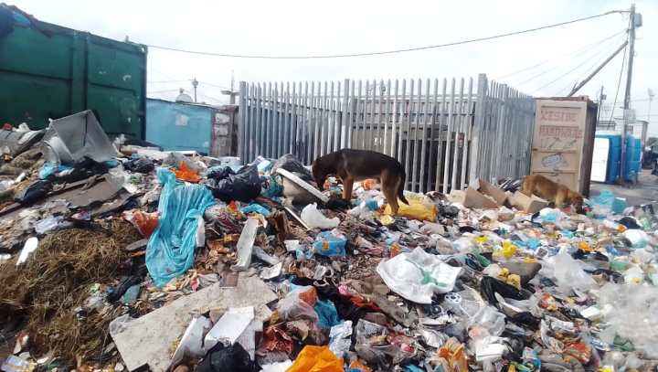 Cape Town waste collection companies ditch contracts following deadly shooting, threats and extortion