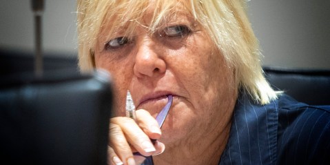 DA’s Glynnis Breytenbach proposes six ways to fix SA’s justice system