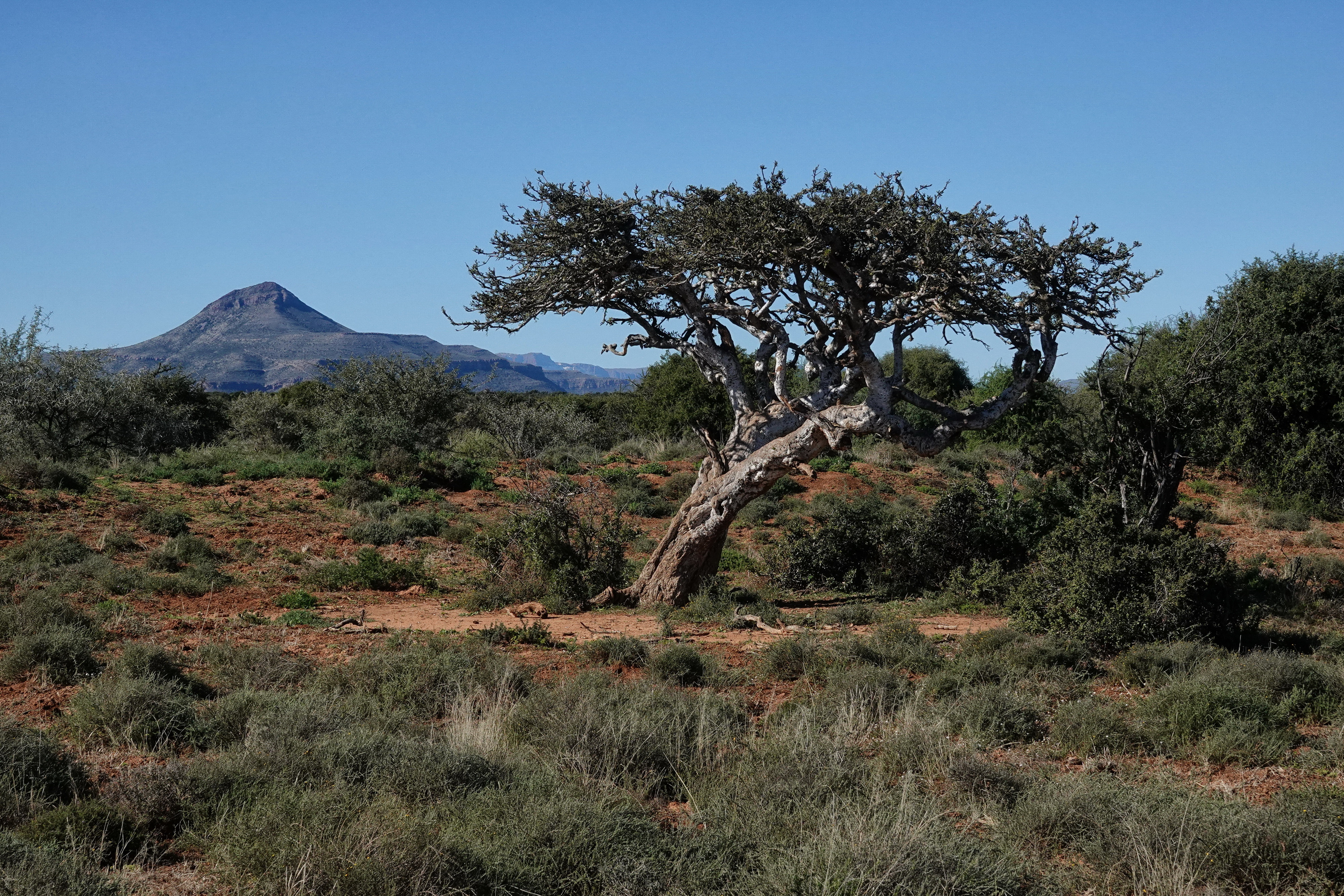 Samara Karoo Reserve