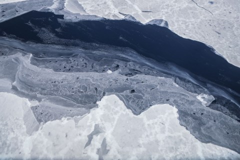 Antarctic winter sea ice hits ‘extreme’ record low