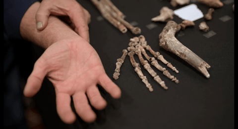 Netflix’s ‘Unknown: Cave of Bones’ takes on the ancient cold case of Homo naledi