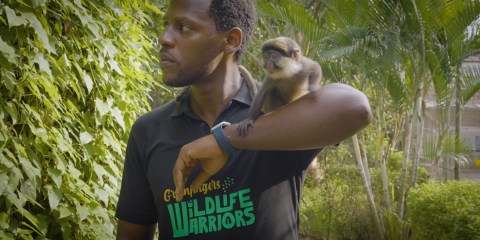 Nigerian conservationist and young eco-warriors battle wildlife crime with innovative methods