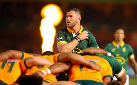 Boks bring powerful blend of youth and experience for Pumas clash as RWC tinkering continues