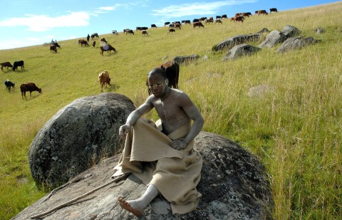 Culture, safety and medical circumcision in the Eastern Cape – its a complex matter
