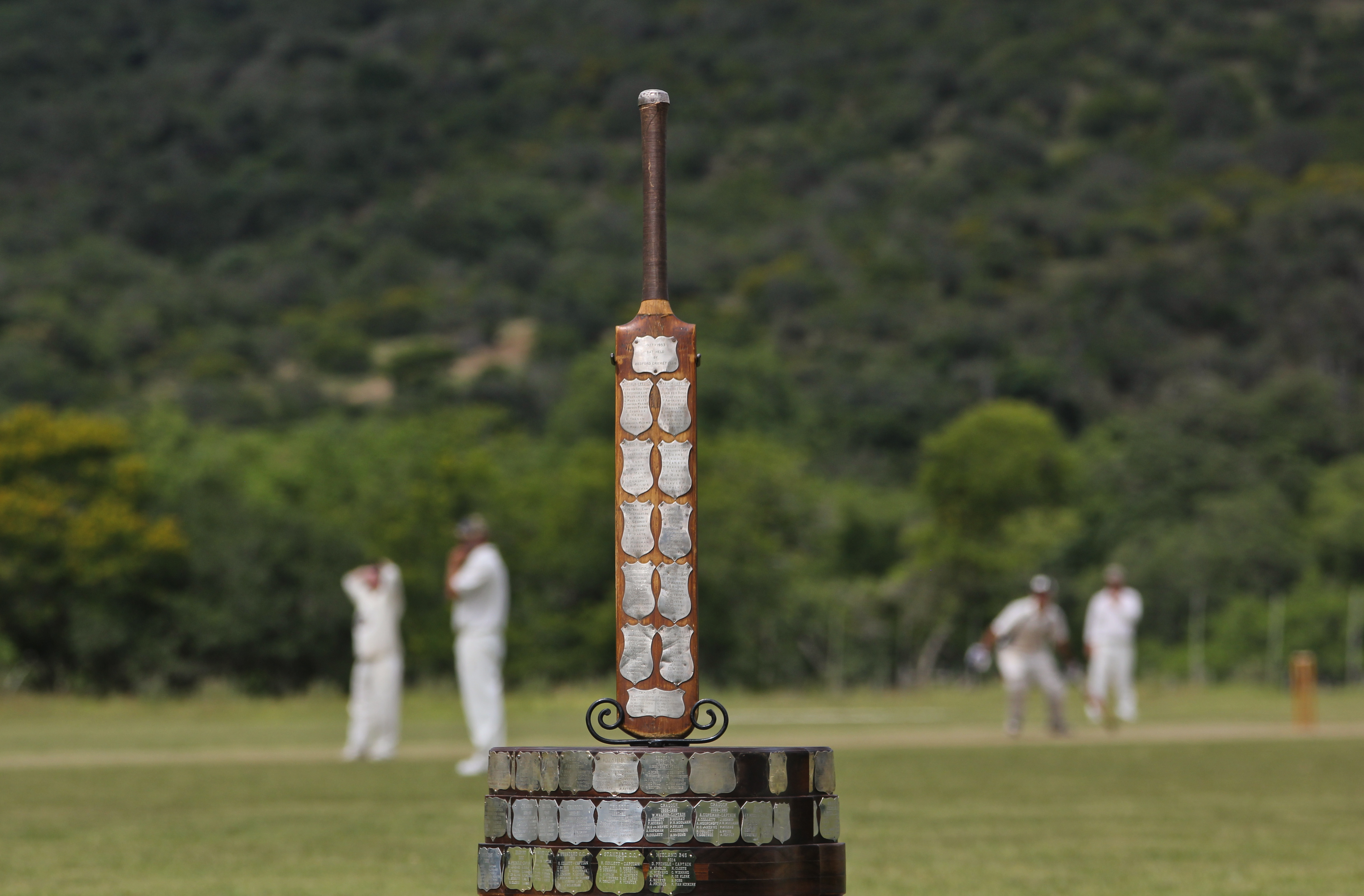 Karoo farm cricket
