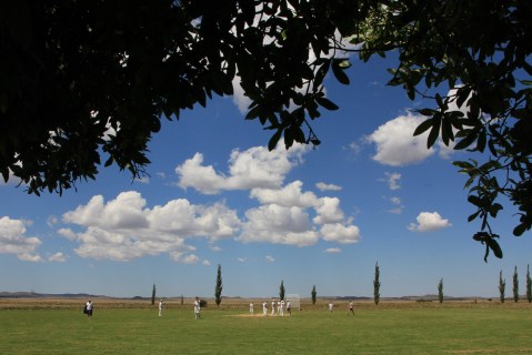 Sixes and slip-slops – celebrating the tradition of Karoo farm cricket