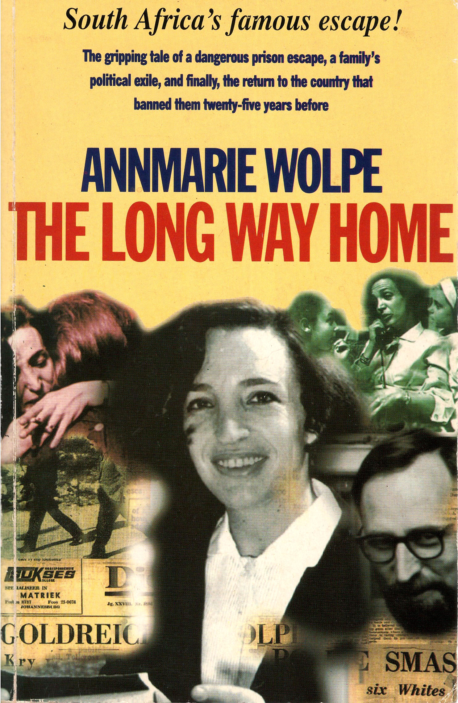 The Long Way Home by AnnMarie Wolpe