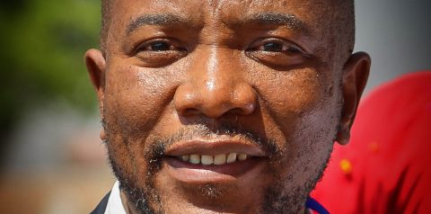 In run-up to 2024, Maimane’s Bosa bets on talent over profile in candidates